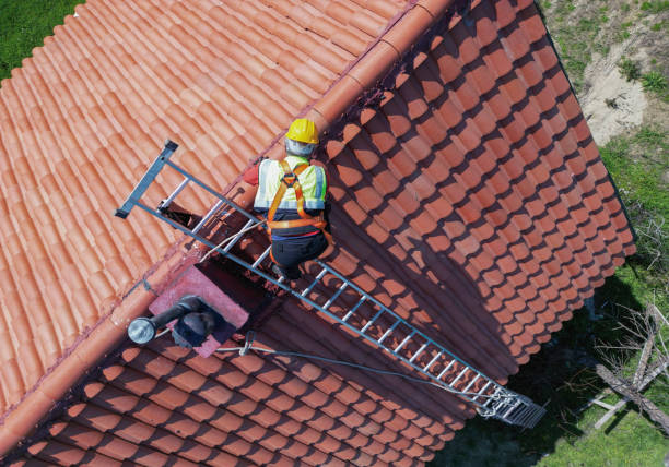 Best Roof Moss and Algae Removal  in Tavares, FL