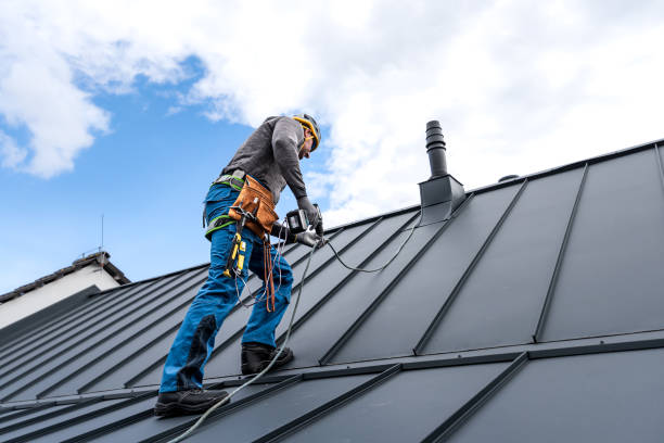 Best Rubber Roofing (EPDM, TPO)  in Tavares, FL